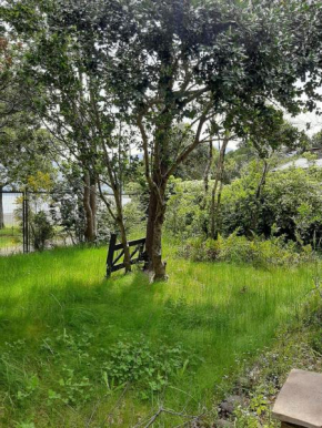 Casa en la playa pucon